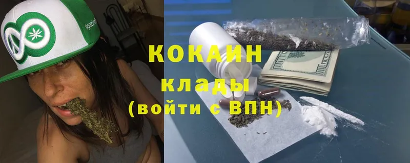 COCAIN Fish Scale  закладка  Горбатов 