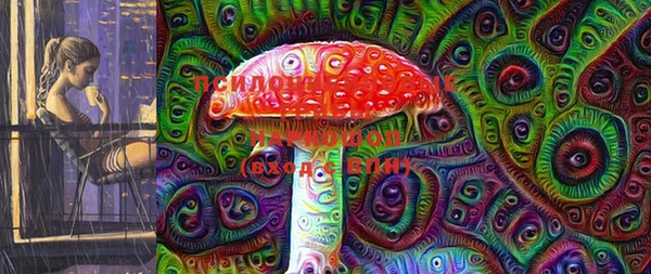 PSILOCYBIN Богданович